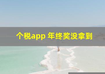 个税app 年终奖没拿到